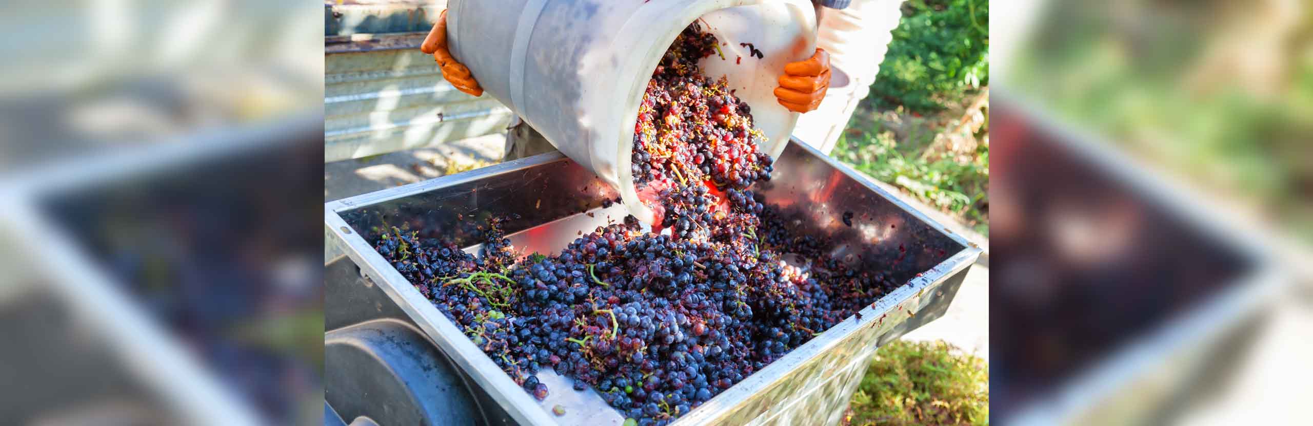 Lodging Town of Boonville, NC