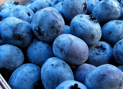Green Mesa Blueberry Farm